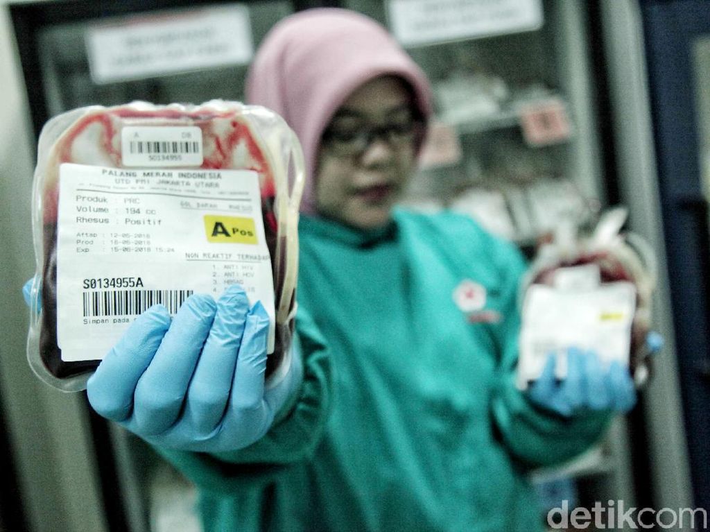 Tertular HIV Lewat Transfusi Darah, Kok Bisa? Ini Kata PMI Tertular HIV Lewat Transfusi Darah, Kok Bisa? Ini Kata PMI
