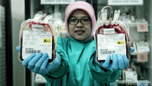 Stok Darah di Jakut Aman Selama Ramadan dan Lebaran