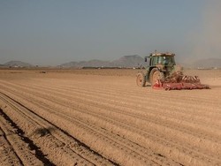 Pemasok Supermarket Jerman Dituduh Lakukan Kejahatan Lingkungan