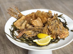 Chef José Andrés Sajikan Ikan Beracun Lionfish untuk Jaga Ekosistem Laut