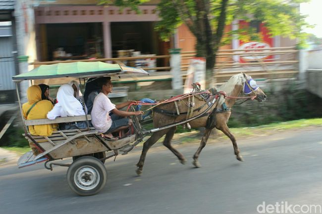 Pemkab Garut Larang Delman Beroperasi Saat Mudik Lebaran Pemkab Garut Larang Delman Beroperasi Saat Mudik Lebaran