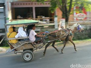 Pemkab Garut Larang Delman Beroperasi Saat Mudik Lebaran