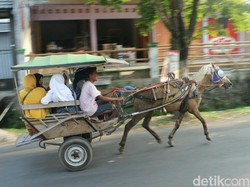 Pemkab Garut Larang Delman Beroperasi Saat Mudik Lebaran