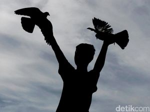 Puluhan Burung Langka Dilepasliarkan di Gunung Sahuwai Maluku