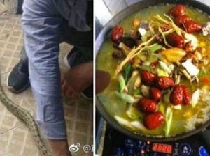 Hiii, Mahasiswa Ini Masak dan Makan Ular yang Masuk ke Asramanya Hiii, Mahasiswa Ini Masak dan Makan Ular yang Masuk ke Asramanya