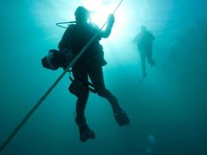 Hiu di Akuarium Menggigit Tangan Pemberi Makan