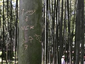 Tega, Keindahan Hutan Bambu Kyoto Dirusak Turis Nakal Tega, Keindahan Hutan Bambu Kyoto Dirusak Turis Nakal