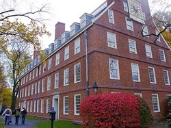 Harvard Dorong Mahasiswa Barunya buat Gap Year, Kok Gitu?