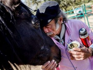 Potret Terapi Stres dengan Curhat ke Kuda Potret Terapi Stres dengan Curhat ke Kuda