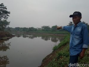 Warga Baleendah Kembali Geger, Buaya Muncul di Sungai Citarum