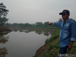 Warga Baleendah Kembali Geger, Buaya Muncul di Sungai Citarum