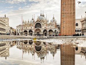 Keren! Foto Ini Dipotret dari Genangan Air