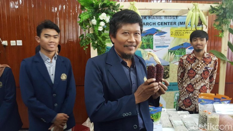 Jagung Ungu Inovasi Dosen UB Tarik Perhatian Mentan