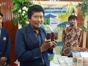Jagung Ungu Inovasi Dosen UB Tarik Perhatian Mentan