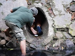 Cerita Penyelamatan Anjing dalam Gorong-gorong di Kali Dekat HI