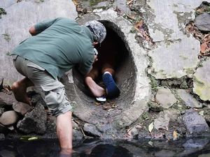 Cerita Penyelamatan Anjing dalam Gorong-gorong di Kali Dekat HI Cerita Penyelamatan Anjing dalam Gorong-gorong di Kali Dekat HI
