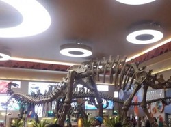 Serunya Long Weekend di Dino Park Jatim 3