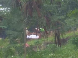 Heboh Jenazah Dibuang dan Kondisi TPU Tanpa Nama