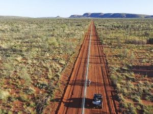 Mengapa Australia Bangun Pagar Antikucing Terpanjang di Dunia?