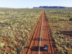 Mengapa Australia Bangun Pagar Antikucing Terpanjang di Dunia?