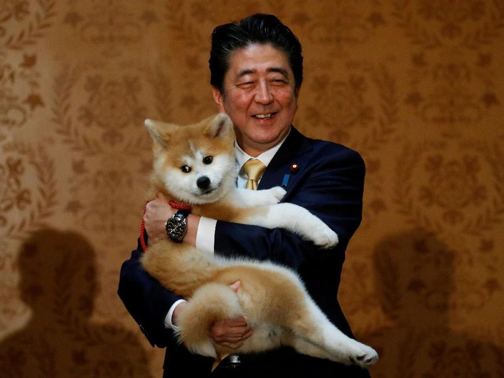 Sosok PM Jepang Shinzo Abe yang 2 Kali Mundur karena Sakit Sosok PM Jepang Shinzo Abe yang 2 Kali Mundur karena Sakit