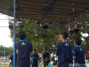 Ngabuburit Sambil Nonton Kontes Burung, Dijamin Tak akan Bosan!