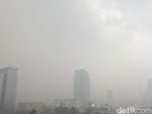 Hujan Deras di Jakarta, Ini Lokasi Genangan dan Pohon Tumbang