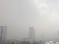 Hujan Deras di Jakarta, Ini Lokasi Genangan dan Pohon Tumbang
