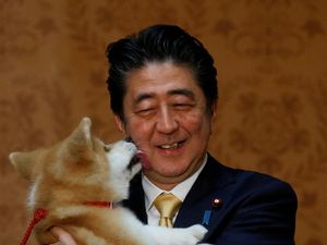 Foto: PM Jepang Bawa Anak Anjing Akita ke Rusia