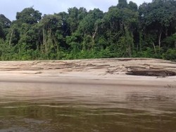 Pesona Sungai Barito, Ikoniknya Kalimantan Tengah