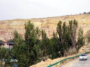 Foto: Gurun Pasir di China yang Terus Direboisasi