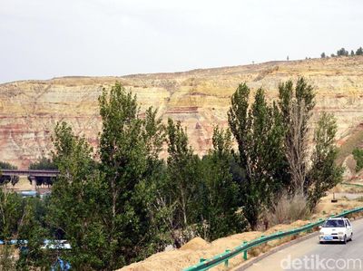 Foto: Gurun Pasir di China yang Terus Direboisasi