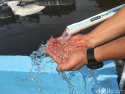 Hasil Olahan Limbah Tinja PD PAL Jaya Bening dan Tak Berbau