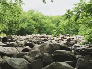Foto: Batu-batu Misterius yang Berbunyi Seperti Bel