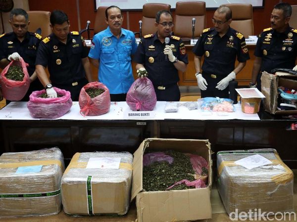 BNN Gagalkan Penyelundupan 68 Kg Daun Katinon