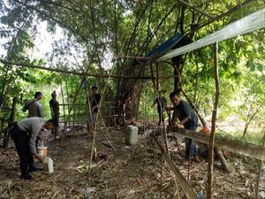 Home Industri Miras Ilegal di Hutan Ambon Digerebek