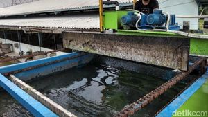 Foto: Pengolahan Air Tinja dari Septic Tank Hingga Bening