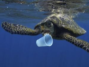 Uni Eropa Akan Larang Alat Makan Sekali Pakai dari Plastik