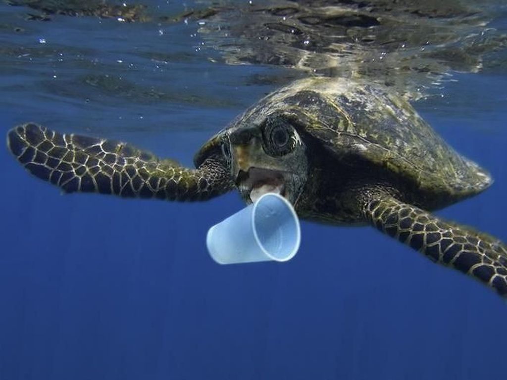Uni Eropa Akan Larang Alat Makan Sekali Pakai dari Plastik Uni Eropa Akan Larang Alat Makan Sekali Pakai dari Plastik