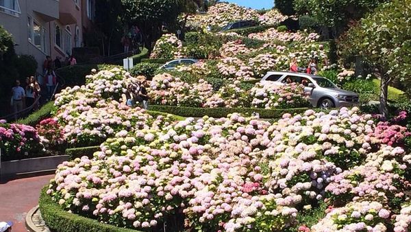 Foto: Jalan Zig Zag Tercantik di Dunia