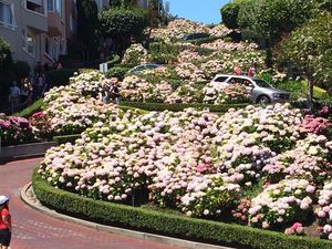 Foto: Jalan Zig Zag Tercantik di Dunia