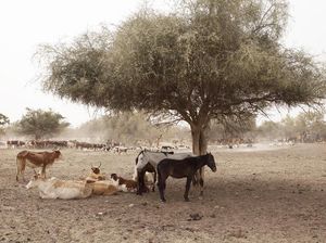 Perubahan Iklim Jadi Isu Dunia, Milenial Diminta Ikut Putar Otak Cari Solusi