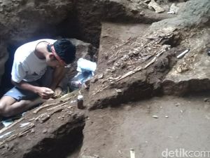 Peradaban Manusia 4.000 Tahun Lalu di Gua Jarie Sudah Tanam Padi Peradaban Manusia 4.000 Tahun Lalu di Gua Jarie Sudah Tanam Padi