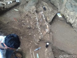 Kerangka di Gua Jarie Sulsel Bisa Ungkap Penduduk Asli Nusantara