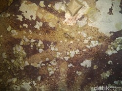 Cap Tangan Purba di Gua Jarie Sulsel Lukisan Tertua di Dunia?