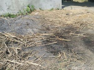 Sebelum Tewas, Perempuan Berjaket Merah Diduga Sempat Lawan Pelaku