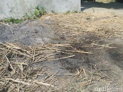 Sebelum Tewas, Perempuan Berjaket Merah Diduga Sempat Lawan Pelaku