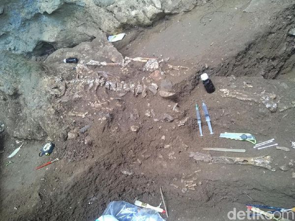 Penampakan Kerangka Manusia 4.000 Tahun di Gua Jarie, Sulsel