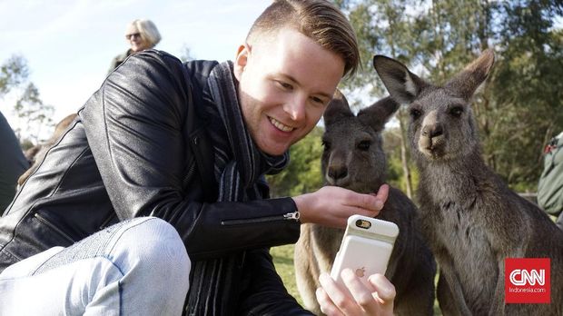 Menatap Koala Mengantuk di Symbio Wildlife Park