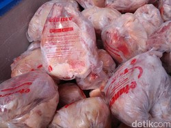 Cara Kementan Tekan Harga Ayam Beku yang Capai Rp 40 Ribu/Kg